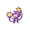 Ambipom