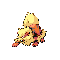 Arcanine