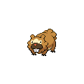 Bidoof