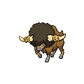 Bouffalant official in-game sprite