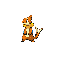 Buizel