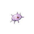 Cascoon
