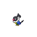 Chatot