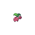 Cherubi