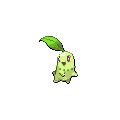 Chikorita