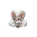 Cinccino