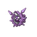 Cloyster