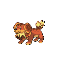 Dachsbun official in-game sprite
