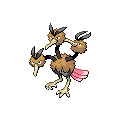 Dodrio