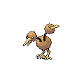 Doduo official in-game sprite