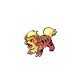 Growlithe