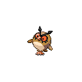 Hoothoot