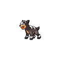 Houndour