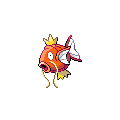 Magikarp