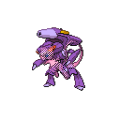 Mewsect