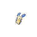 Minun
