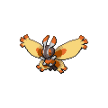 Mothim