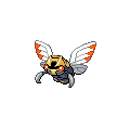 Ninjask