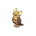 Noctowl