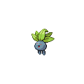 Oddish