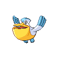 Pelipper