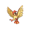 Pidgeotto