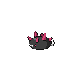 Pyukumuku