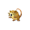 Raticate