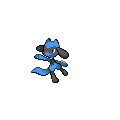 Riolu
