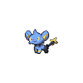 Shinx
