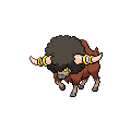 Shiny Bouffalant