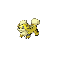 Shiny Growlithe