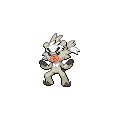 Shiny Kubfu