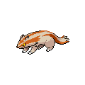 Shiny Linoone