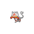 Shiny Litten