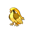 Shiny Pidgeot