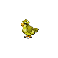 Shiny Pidgey