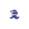 Shiny Popplio