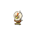 Shiny Rufflet