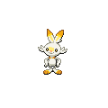 Shiny Scorbunny