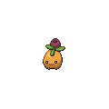 Shiny Smoliv