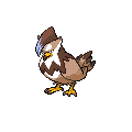 Shiny Staraptor