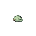 Shiny Swinub