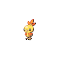 Shiny Torchic