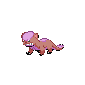 Shiny Yungoos