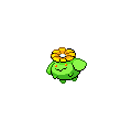 Skiploom