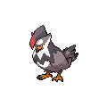 Staraptor official in-game sprite