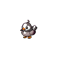 Starly