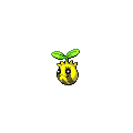 Sunkern official in-game sprite