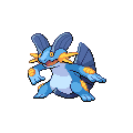 Swampert